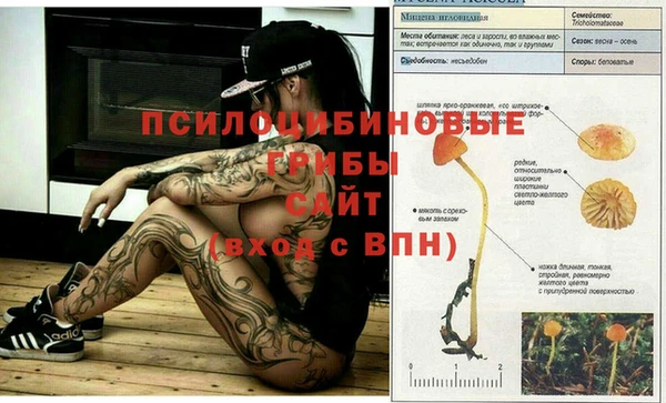 трава Арсеньев