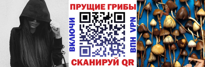 Галлюциногенные грибы прущие грибы Лихославль